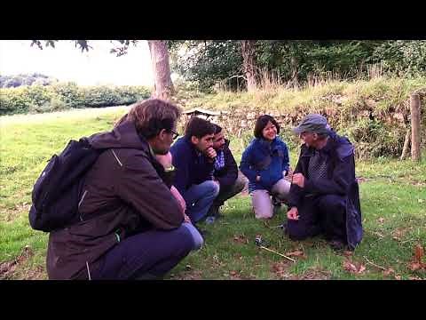 "Deep Time Walk" with Dr. Stephan Harding