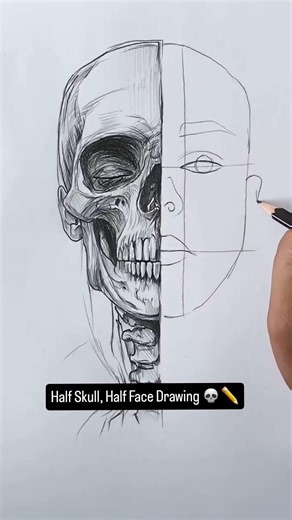 Half Skull, Half Face Drawing 💀✏️ #drawing #skulldrawing #shorts