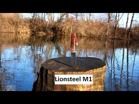 Lionsteel M1