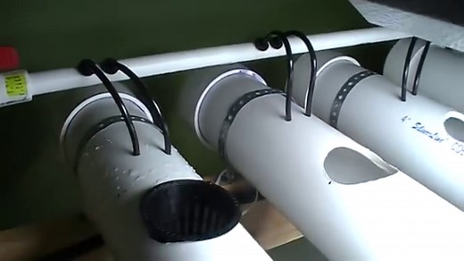 Best Plants For NFT System - 🌱 Grower Today