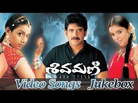 Shivamani Telugu Movie Video Songs Jukebox || Nagarjuna Akkineni, Asin, Rakshitha