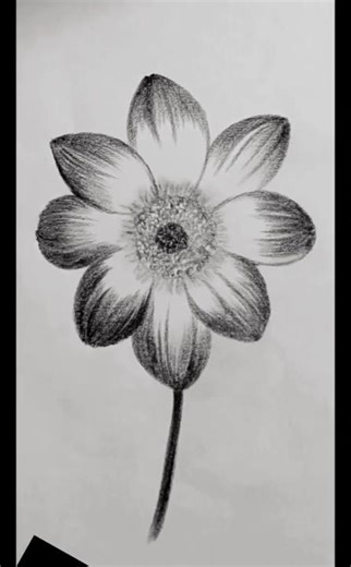 #how to draw flower easy step by step