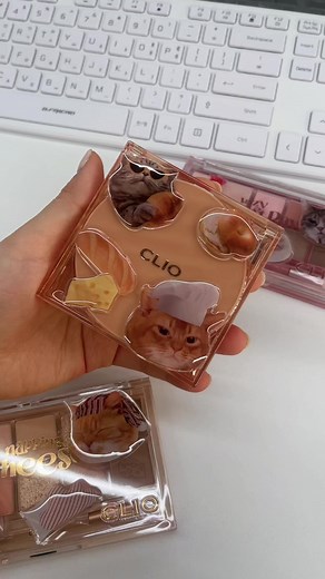 클리오 코숏인서울 코일커버더뉴파운웨어쿠션 프로아이팔레트 틱톡뷰티