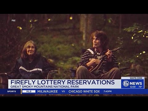 2025 Great Smoky Mountains synchronous firefly lottery dates announced