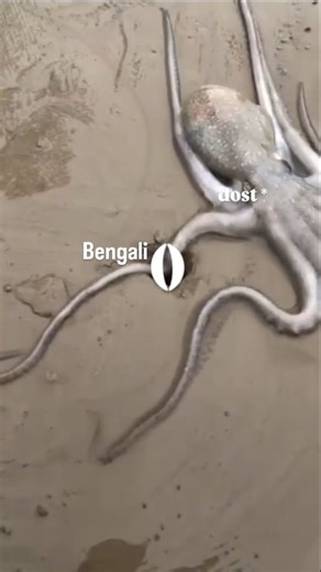 fuck3dupp on Instagram: "Bengalan🌚#viral #trendingreels #instagram #instagood #trending #memes #viralreels #videoclip #memesdaily #fypppppppppppppppppppppppppppppppppppppppppppppppppppppppppppppppppppppp #explorepage #explore #explore #memesdaily #memepage #memeaccount #memer #trendingreelsvideo"