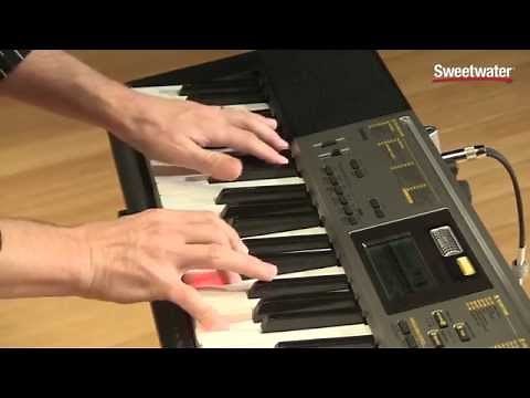 Sweetwater's Casio LK-260 Lighted-key Portable Arranger Keyboard Demo