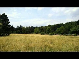 Oneplus One 4K UHD Sample Recording