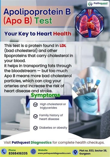 Know Your Heart’s True Risk — Get Tested with Apolipoprotein B (Apo B) Test at Pathquest Diagnostics