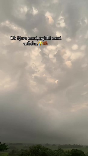 Emotional Connection in Sjava's 'Valelisa' Song