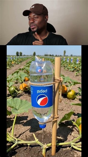DIY Water Irrigation System for Your Garden
