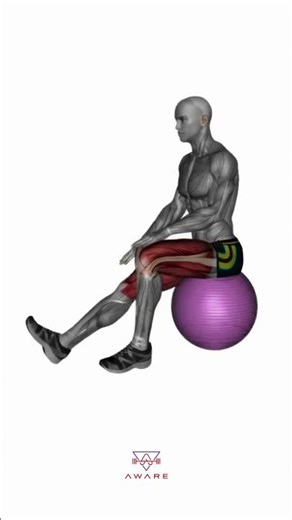 exercise ball seated hamstring stretch