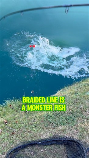 Braided Line Deep Dive For MONSTER Fish! 🎣🐟 #shorts #fishing