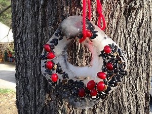 DIY Homemade Birdseed Wreath