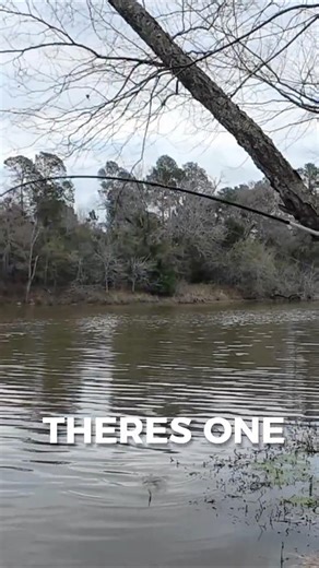 Casting for Crappies #crappiefishing #creekfishing #fishing