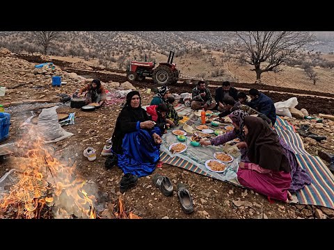 Sowing Wheat Seeds : Planting wheat into Dry Soil _ Doora official channel [ 2023 ]