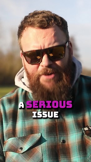 Effective Ways to Stop Labrador Puppy Biting Behavior