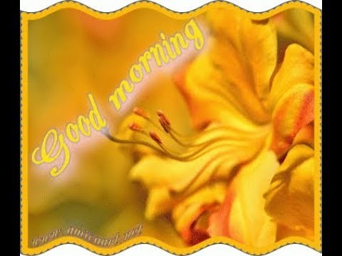 Good morning-gifs