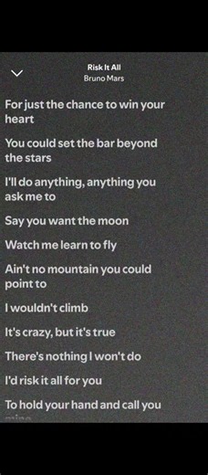 Risk It All Bruno Mars lyrics video