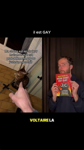 il est pas chill ton chat non non, lien de mon livre en bio
