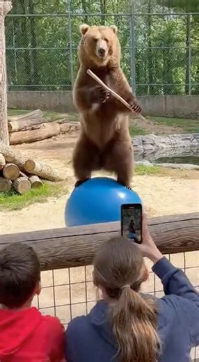 Understanding Learned Behaviors in Animals