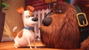 The Secret Life of Pets: Official Clip - Max Meets Duke