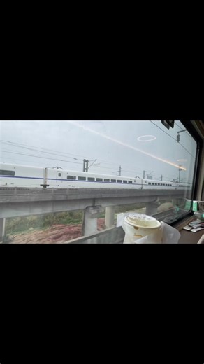 Momentos Graciosos que te Harán Reír