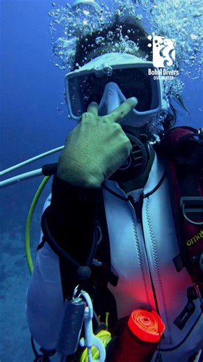 PAMILACAN island is surrounded by a fringing coral reef with excellent snorkeling and diving spots. Popular sites include the marine sanctuary and nearby Dakit-dakit To know more about the dives please dm us 👇👇👇 👉www.boholdivers.com 👉 FB/Instagram 📱 639085935428 📷video & edit @yayasosyalera #explore #explorepage #exploremore #divecenter #dive #diving #bohol #philippines #alonabeach #alonabeachresort | Bohol Divers Club Dive Center