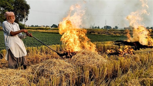 Punjab farmers protest against biogas plants even as farm fire chokes north India