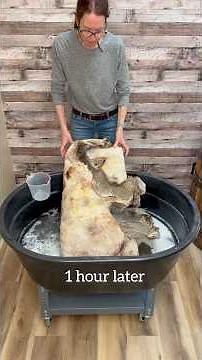 Deer Tanning - The Rehydration Step!