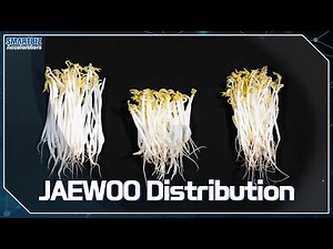 [SMARTBIZ ACCELERATORS] A large-scale producer of high-quality mung... , JAEWOO Distribution (재우유통)