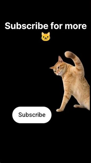 Linux tasks 😭#linux #memes #arch