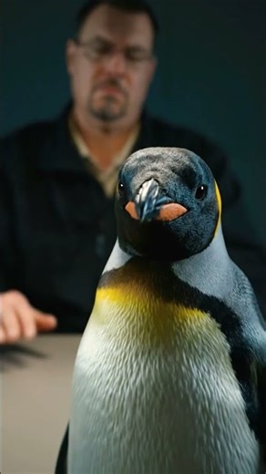 #holisticaddictionrecovery #funny #recoverychallenge #comedy #comedyvideos #relatable #comedymovies