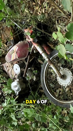 Random Hands on Reels