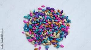 Multi-colored seashells close-up. Shells spin in the frame. background, texture