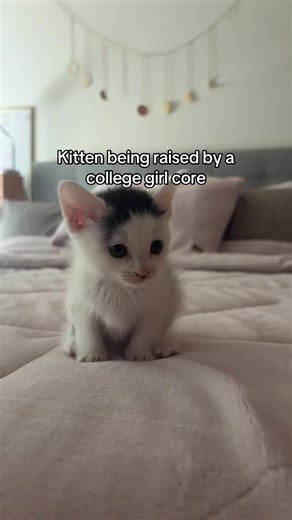 Understanding Privilege Through Personal Steps