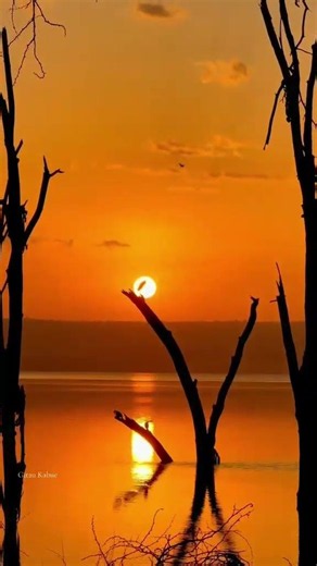 Golden Sunset at Lake Nakuru National Park | Kenya's Most Beautiful Evening