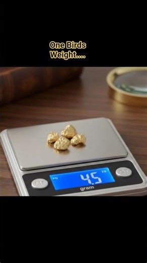 Humming Bird Weight ??? || #shorts #ytshorts #adfactsgyan