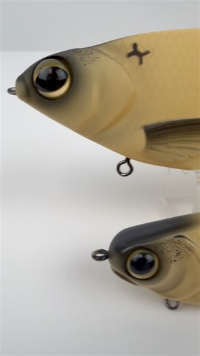 SPRO USA on Instagram: "Another new product we will be showcasing at ICAST is the @spro.usa X @kgbswimbaits Lil’ Guy. We know for some, a larger swim bait can be intimidating, so as the perfect way to dive into the swim bait game, we have the Lil’ Guy. Now don’t get us wrong, this is still perfect for the diehard fisherman. We pack all of the fish attracting prowess of the Chad Shad 180 into this tiny power house of a bait. When the bite gets tough—cold fronts roll in or fishing pressure peaks—h