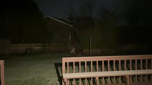 Whatcom County Weather on Reels