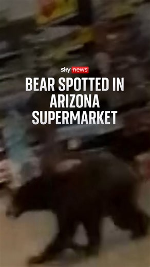 A bear surprised shoppers as it ran around a supermarket in Arizona. | Sky News