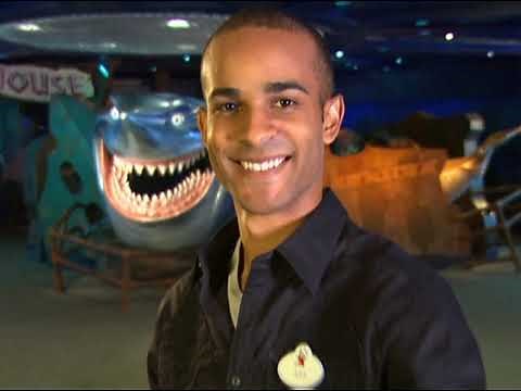 Imagineering Magnetism