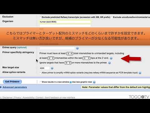 Primer-BLASTを使ってプライマーを設計する