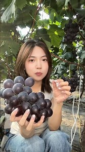 China ke fruits itne alag kyun hote hain? 😨| Seedles Litchi | | Cactus Fruit | #shorts #facts #fruit