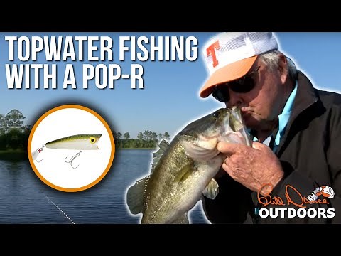 Topwater fishing with a Pop-R | Bill Dance Outdoors