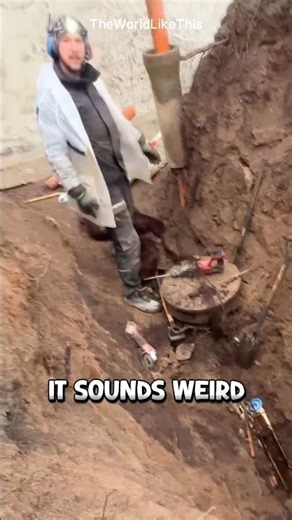 When Trees Decide to Use Your Pipes