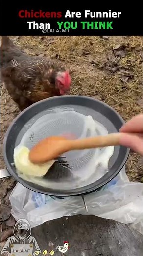 🔥 The Funniest Chicken Moments Ranked 😂🐔 #shorts #funny #laugh