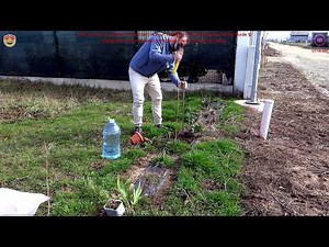 🌸 How to Plant a Leander (Oleander) in Your Garden | Early Spring Gardening Guide 🌿✨