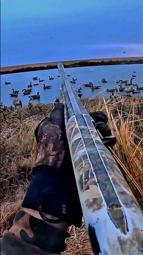 Massive Waterfowl Attack! Goose Hunting Madness. #goose #geese #duck #hunting #shorts
