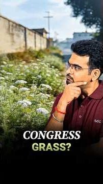 What is Congress grass? #agriculture #greenrevolution #congress