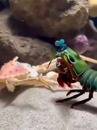 El blog del narco en Veracruz.